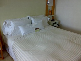 20090102-1.jpg